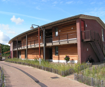 Kokkel afbeelding