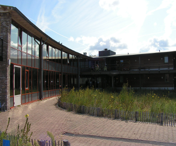 Schaalhoren afbeelding